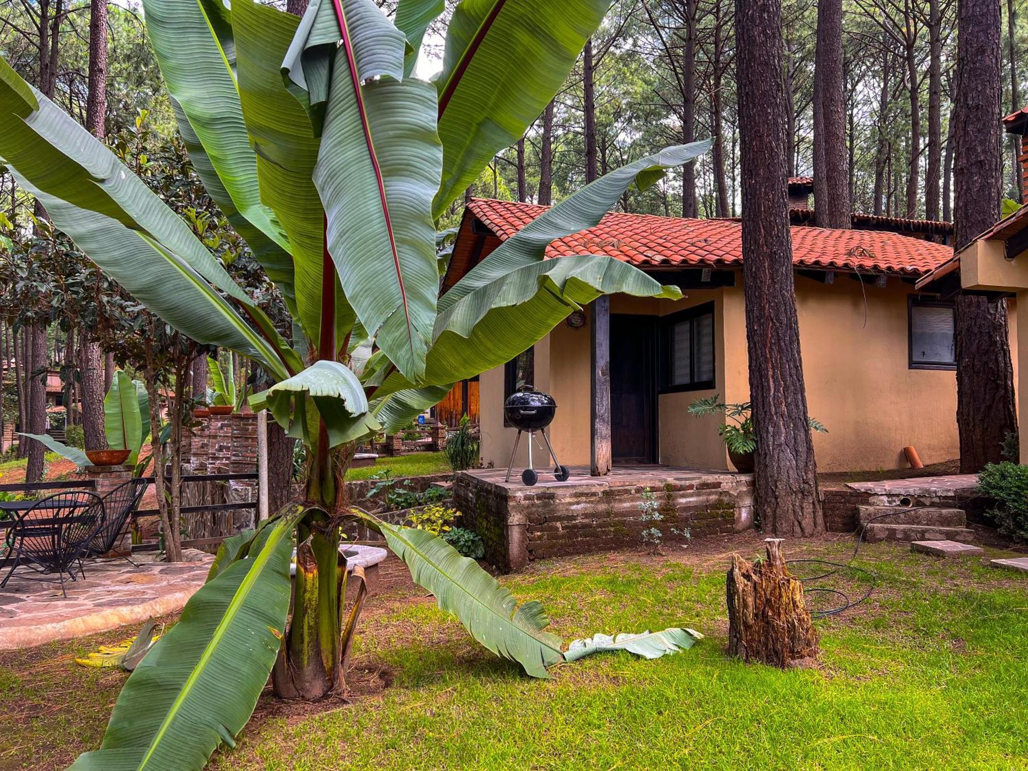 Cabanas Las Morenas Mazamitla Exterior foto