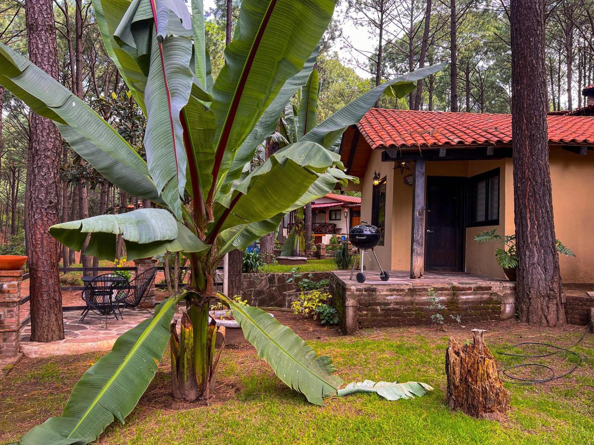 Cabanas Las Morenas Mazamitla Exterior foto